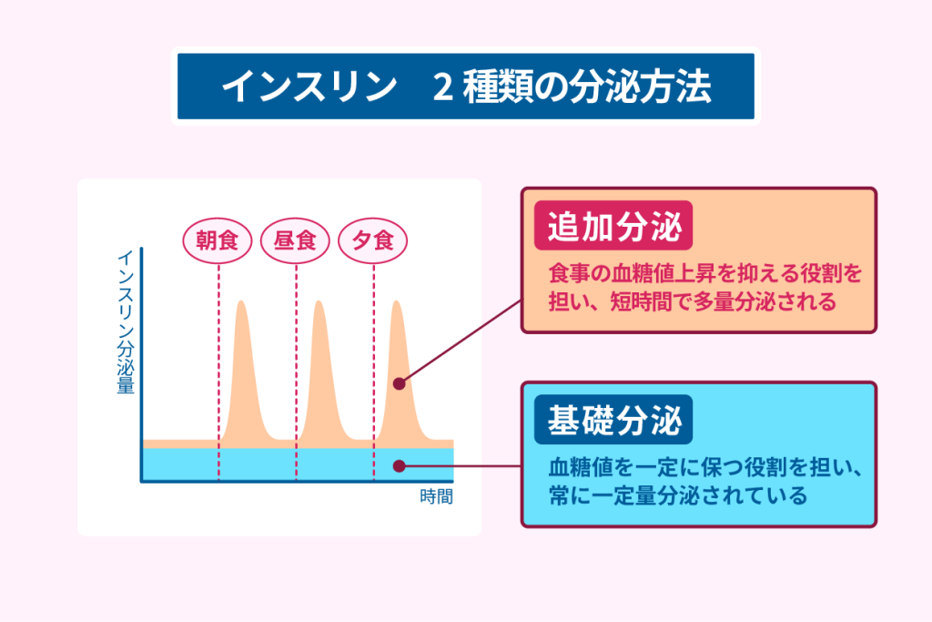 インスリン　２種類の分泌方法